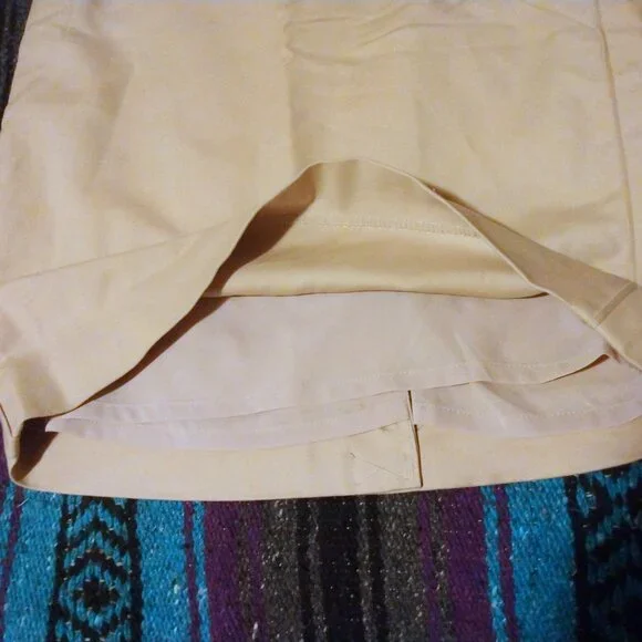 The Limited Beige Lined Pencil Skirt 2 Quiet Luxury Office Chic Minimalist - Picture 4 of 9